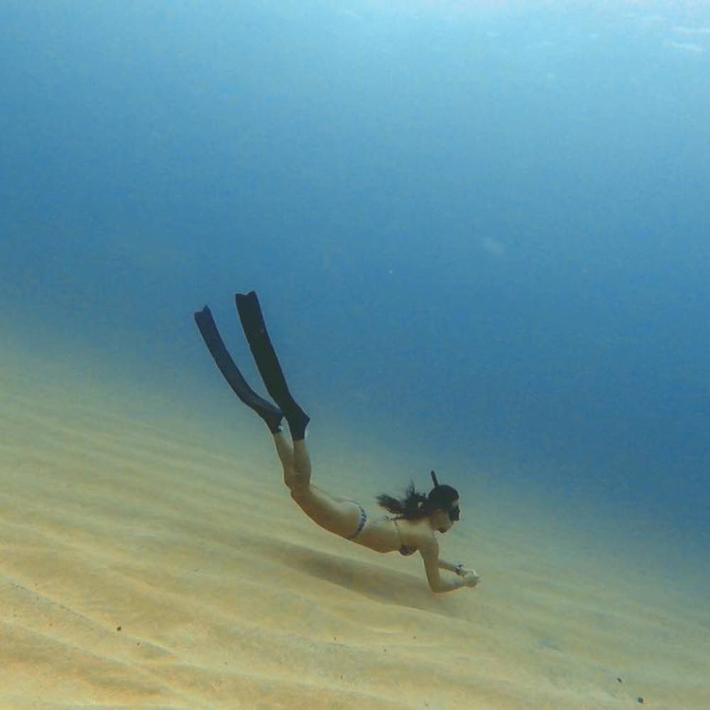 Meet your Posher, Bella lee